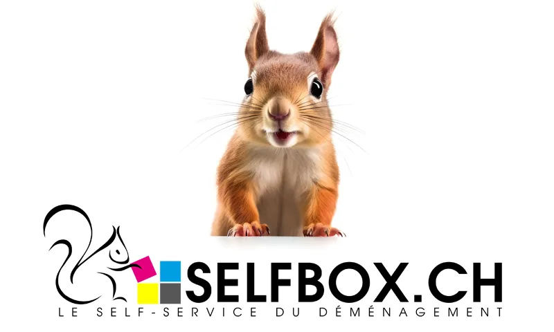 Selfbox : Refonte du logo